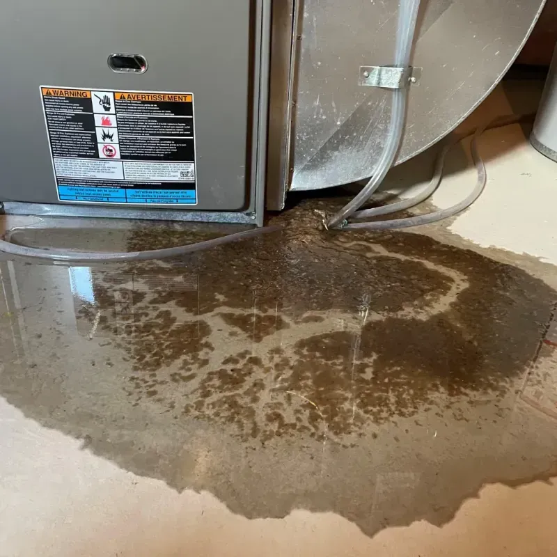 Appliance Leak Cleanup in Bellair-Meadowbrook Terrace, FL